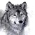 :iconaveryll6: