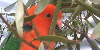 group avatar
