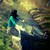 :iconavez-vous-vu-gaston: