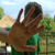 :iconaviatorkid: