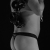 :iconavion5: