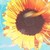 :iconavonilly83: