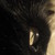 :iconavoralynn: