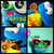 :iconavri1234: