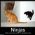 :iconaw3som3ninja: