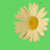 :iconaw4foxache: