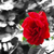 :iconawake-at-night: