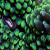 :iconawakeboarder88: