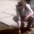 :iconawaks1: