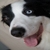 :iconawesome-danny: