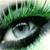 :iconawesome99921: