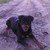 :iconawesomeannie5: