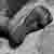 :iconawesomeaustin113:
