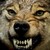 :iconawesomefangz: