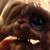 :iconawesomegal12321: