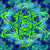 :iconawesomekbh:
