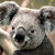 :iconawesomekendra: