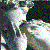 :iconawesomesauce: