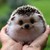 awesomesauce1992 :iconawesomesauce1992: