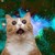 :iconawesometakespractice: