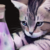 :iconawesometheamazing: