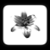 :iconawestruck-clay: