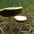 AwgarStoneLtd :iconawgarstoneltd: