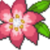 :iconawhitechristmasday: