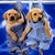 :iconawkward-banana: