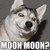 :iconawmeybhoy123: