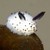 awsomeprussialover :iconawsomeprussialover: