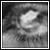 :iconaxalian: