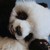 :iconaxle247: