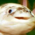 :iconaxolotlmouth: