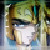 :iconayame-du-verseau: