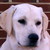 :iconayamie-allen: