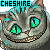 :iconayane-moyoshi: