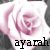 :iconayarah: