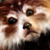 :iconayaveen: