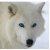 :iconayawolf: