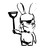 :iconaycanaro: