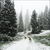 :iconayearinthewoods: