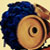 :iconayfos19: