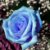 :iconayla-of-nevyn: