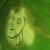 :iconayla8xoptical:
