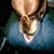 :iconayleann: