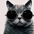 :iconayli123:
