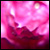 :iconaylizia: