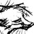 :iconayrendium:
