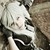 :iconayris-sama: